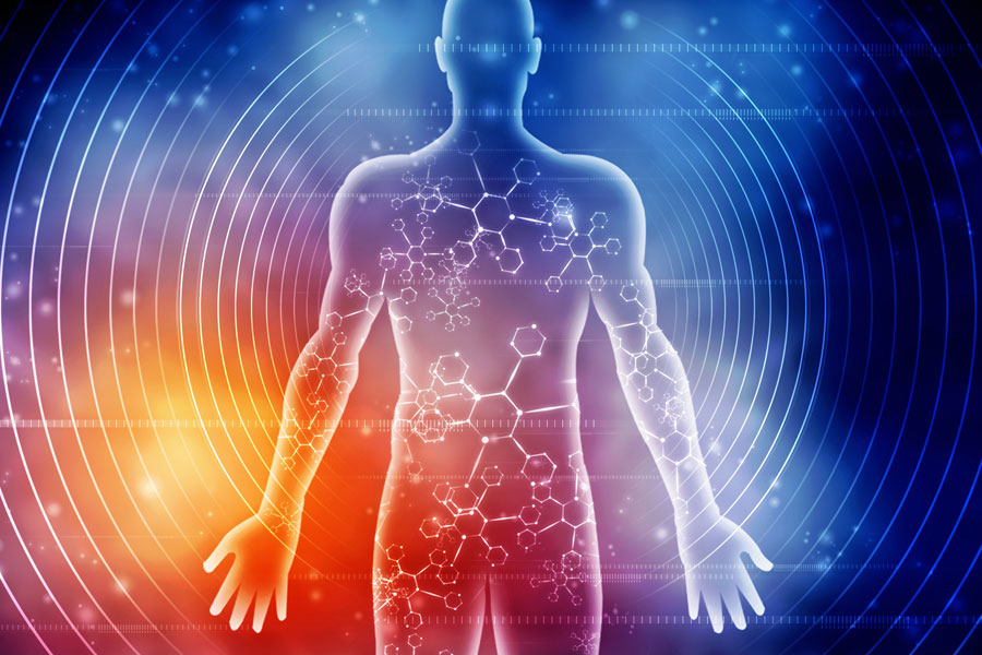 What is bioenergetics and how does it affect the human health?